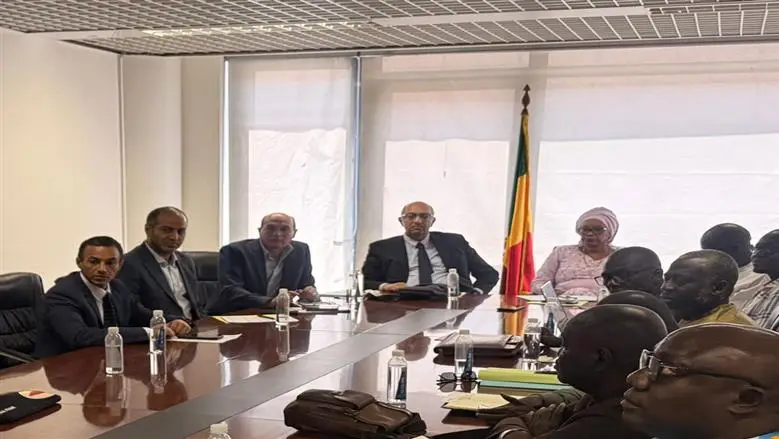 «الثقافة» تبحث ترجمة العلوم والنشر المشترك مع السنغال على هامش معرض داكار للكتاب