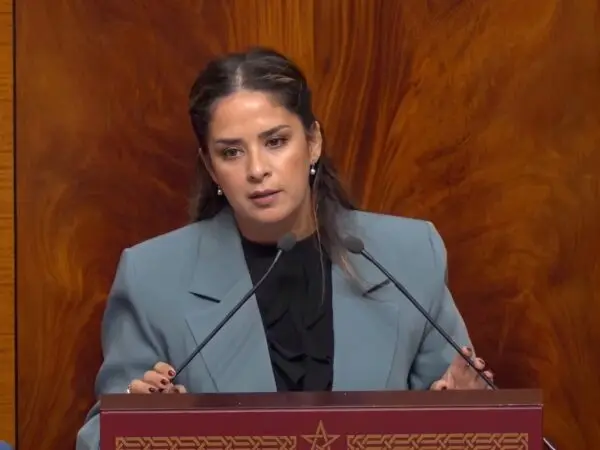 ريم شباط رئيسة الفريق « الحركي » تنتقد محدودية التغيير في الحكومة وتصف برنامجها بإعلان النوايا