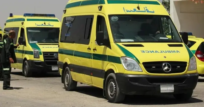 وفاة 10 أشخاص وإصابة 24 في حادث تصادم بمحافظة الجيزة المصرية