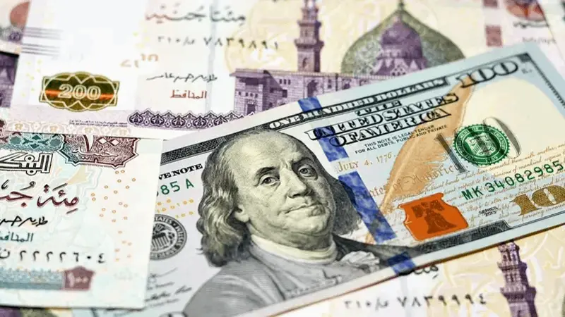 لتعزيز السيولة الأجنبية.. بنوك مصرية ترفع عوائد حسابات التوفير الدولارية