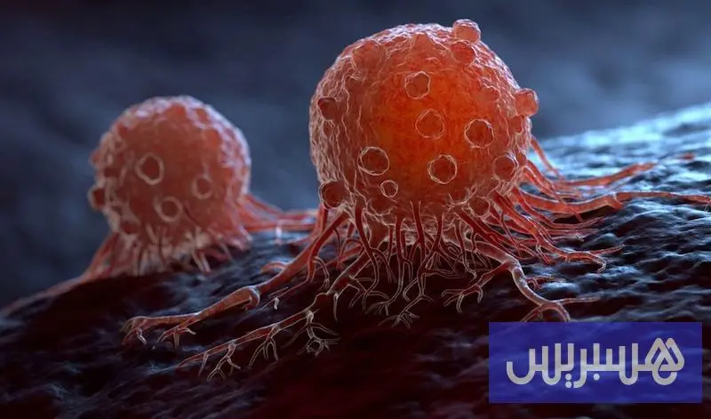 هل يمكن أن تنتقل الأورام السرطانية من كائن لآخر عن طريق العدوى؟