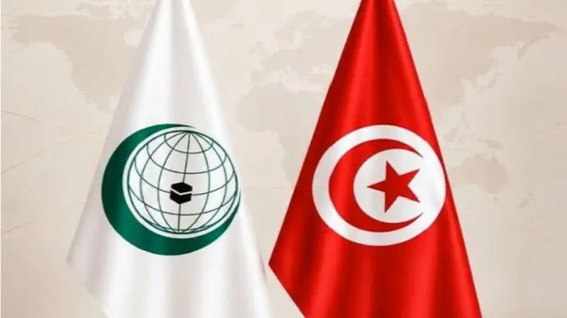 انتخاب مدير الشؤون القانونية بوزارة الشؤون الخارجية عضواً بهيئة حقوق الإنسان