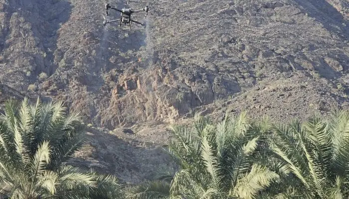 باستخدام الطيران المسير.. مكافحة آفة دوباس النخيل في 10 قرى بالرستاق