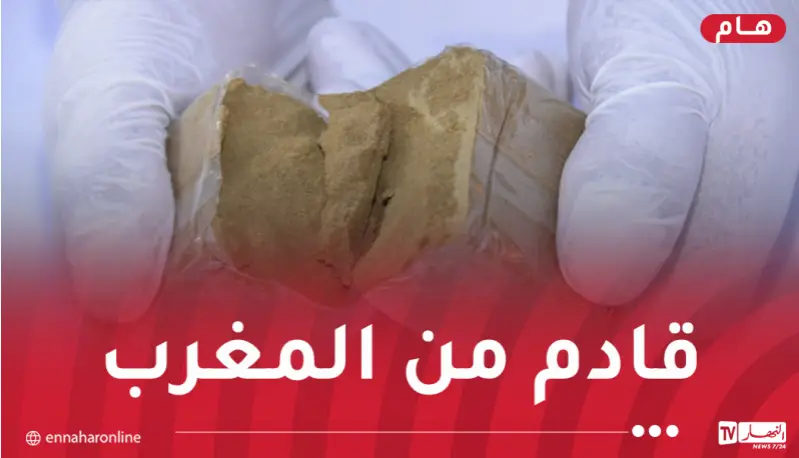 تفكيك 6 شبكات إجرامية منظمة وضبط أزيد من قنطار كيف مصدره المغرب