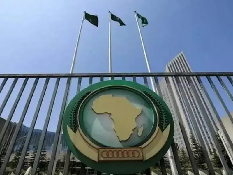 مجلس السلم والأمن الإفريقي يهنّئ الجزائر على تطهير أراضيها من الألغام