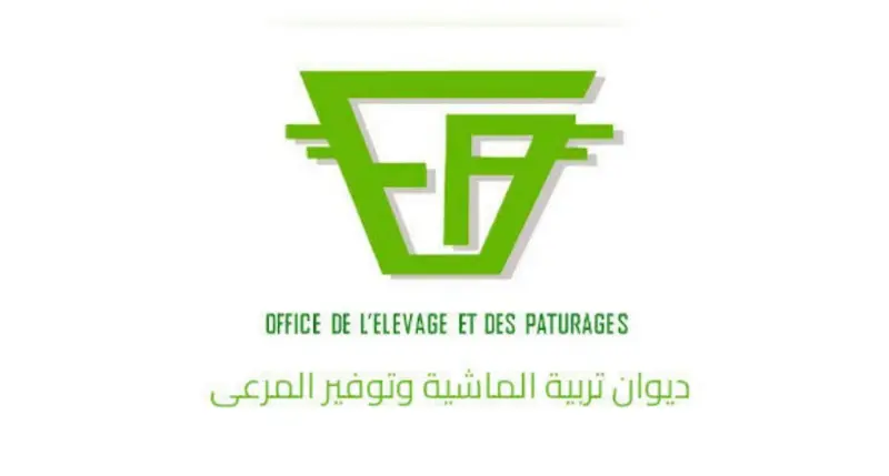 ديوان تربية الماشية يبحث تثمين مخلفات النخيل في التغذية الحيوانية