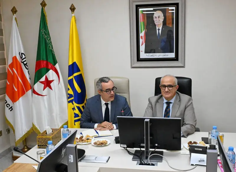 صناعة السيارات في الجزائر.. اجتماع هام لنفطال وستيلانتيس