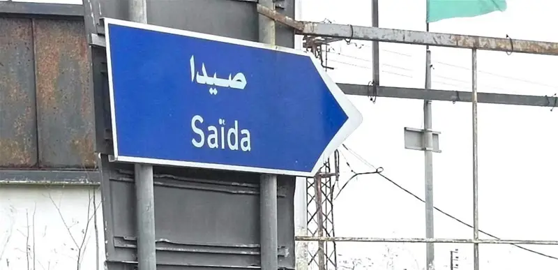 تسميم وقتل كلاب في صيدا.. البلدية تتحرك قضائياً