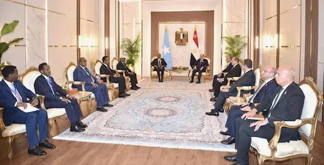 اتصالات مصرية لتفعيل مخرجات «القمة الرباعية» بشأن أمن «القرن الأفريقي»