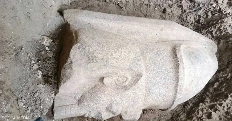 كشف أثري كبير في مصر.. قاده مواطن بالصدفة