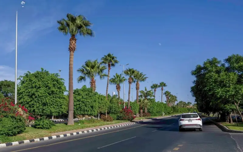 عسير.. تعزيز جاذبية الوجهات السياحية بإبراز المقومات الجمالية للمنطقة