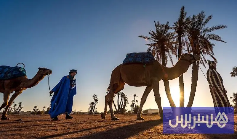 شكايات "كسابة" تكشف شبكة للاحتيال