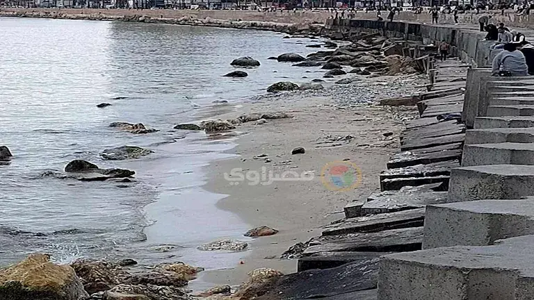 "علوم البحار": 3 عوامل وراء انحسار مياه البحر في الإسكندرية - صور