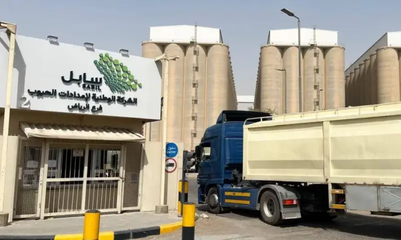 "سابل" السعودية تتجه لطرح 60% من مساحات الصوامع لديها على القطاع الخاص | صحيفة الاقتصادية