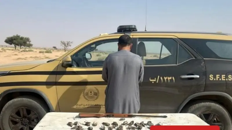 ضبط مواطن لارتكابه مخالفة الصيد دون ترخيص في منطقة حائل