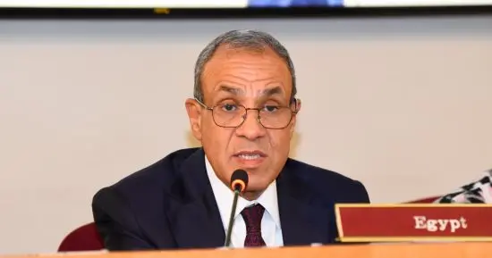 وزير الخارجية يبحث مع نظيره الأرميني دعم العلاقات بين البلدين