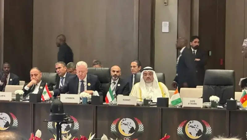 رجي أمام منظمة التعاون الإسلامي: ندعو إيران وأذرعها إلى وقف الاعتداءات على دول الخليج والأردن
