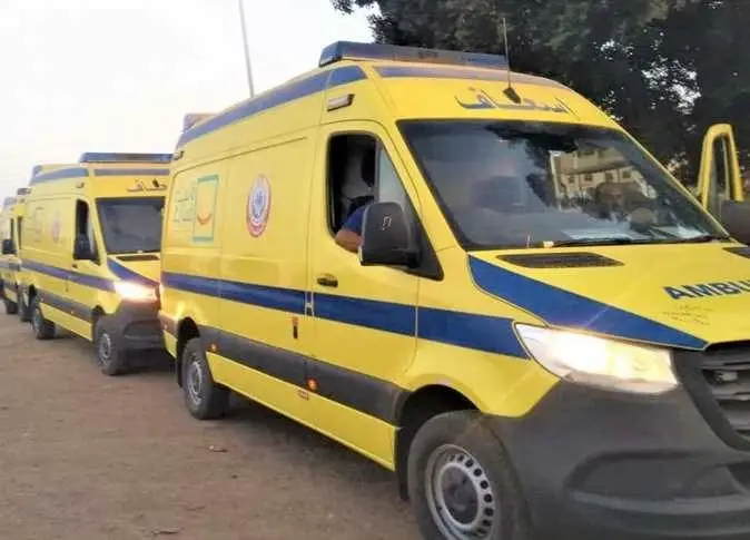 إصابة 15 شخصًا بينهم أطفال وسيدات في انقلاب ميكروباص بطريق الداخلة–الفرافرة بالوادي الجديد