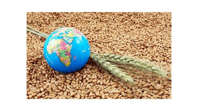 تسـارع التضـخـم الغـذائـي في العالـم يُنـذر بضـغـوط إضـافيـة