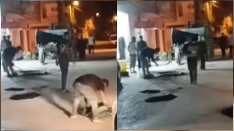 دوار هيشر/منوبة.. انتقادات لنوعية تدخلات تعهد البنية التحتية