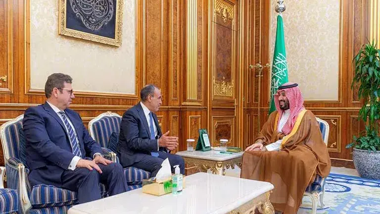 وزير الخارجية يسلم ولي العهد السعودي رسالة من الرئيس السيسي إلى خادم الحرمين الشريفين