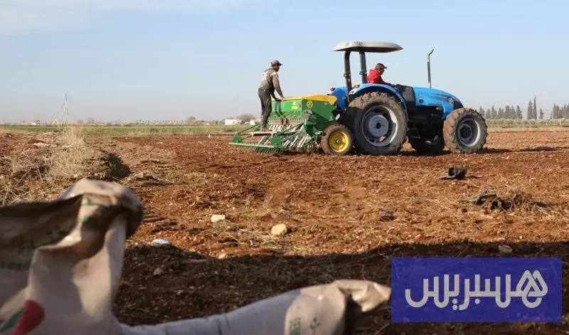إغراق السوق بالأرز المستورد يهدد محاصيل آلاف الفلاحين بمنطقة الغرب