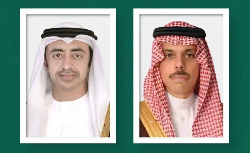 هاتفيًا.. وزير الخارجية يناقش اعتداءات ميليشيا الحوثي مع نظيره الإماراتي
