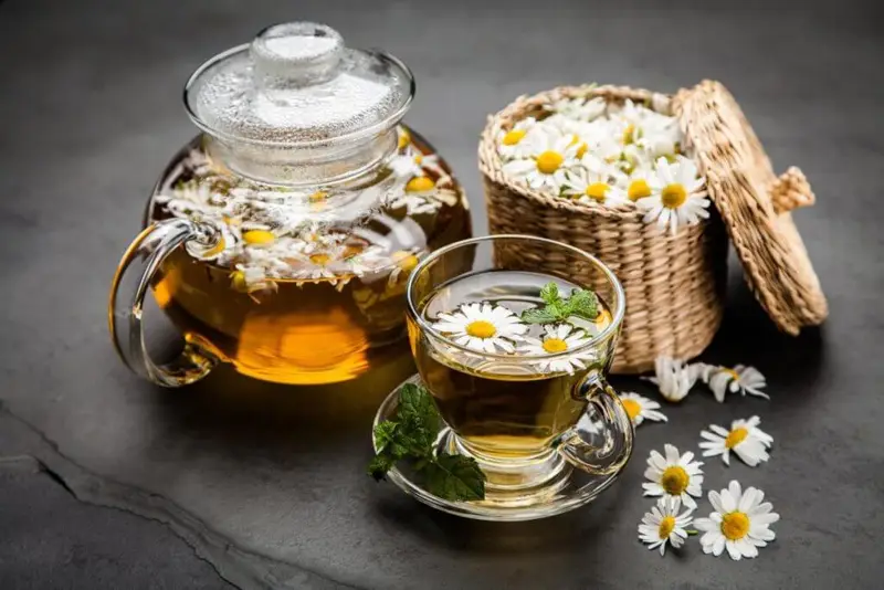 شاي البابونج لتحسين النوم... ما التوقيت الأنسب لشربه؟