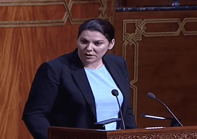 الوسيط من أجل الديمقراطية يدعو إلى الإفراج عن معتقلي الاحتجاجات والمدونين ويقدم مقترحاته للحكومة