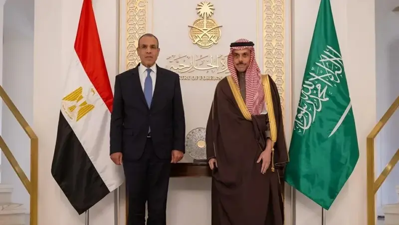 وزير خارجية مصر: مستعدون لتقديم كل أشكال الدعم والتضامن للسعودية