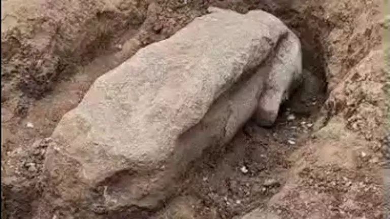 صور جديدة تكشف تفاصيل العثور على بقايا تمثال رمسيس الثاني بالغربية
