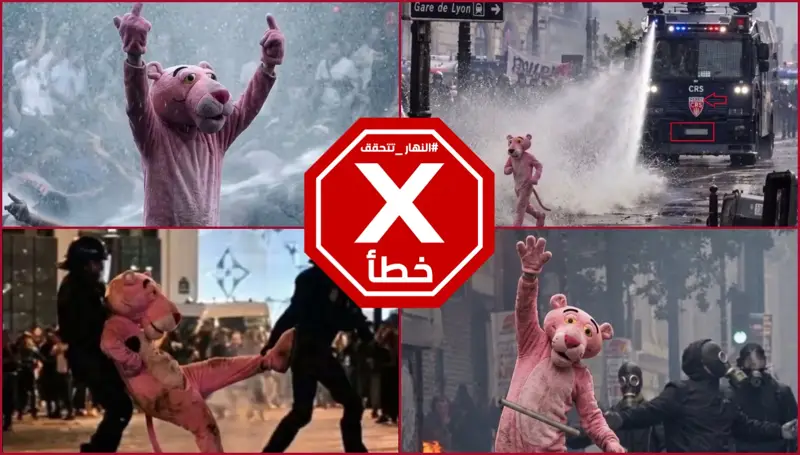 النمر الوردي نجم احتجاجات فرنسا... حقيقة هذه الصور التي أثارت تفاعلاً واسعاً | النهار تدقق FactCheck