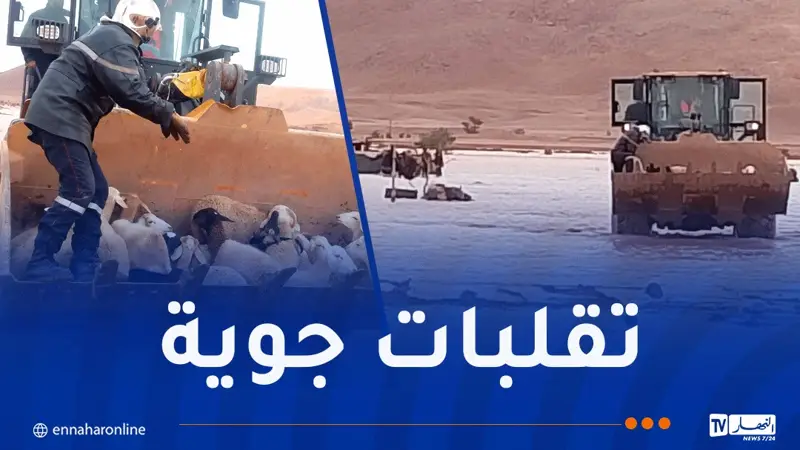 تقلبات جوية.. تحرير مركبات عالقة وإنقاذ 120 رأس غنم محاصرة بالمياه