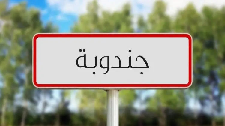 جندوبة الشمالية.. العثور على جثة فتاة مفقودة مدفونة داخل منزل مهجور