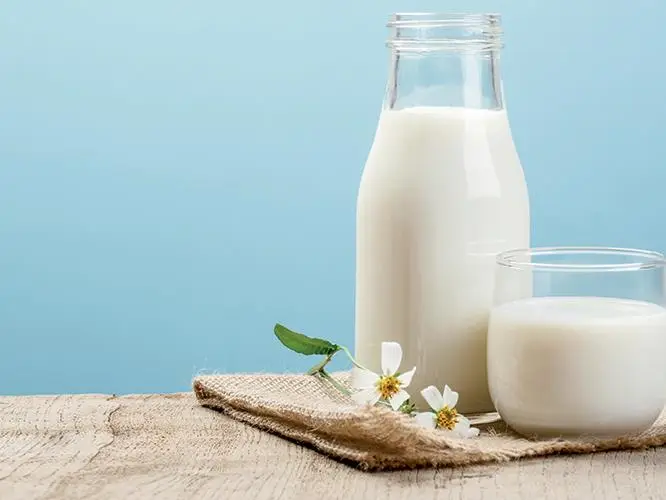 البلدية: 100% نسبة اكتفاء قطر الذاتي في قطاعي الألبان والدواجن