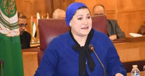 القومي للطفولة والأمومة يتدخل لوقف زواج طفلة في ليلة زفافها بمدينة نصر