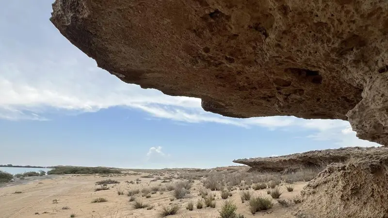 جبل كوشكش في جزر فرسان كان مرسى غواصي اللؤلؤ ومتنزهًا طبيعيًا