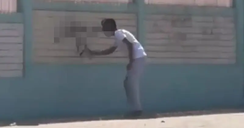 الداخلية: ضبط شخص لقيامه بالكتابة على جدار مدرسة.. وإلزامه بإعادة طلائه