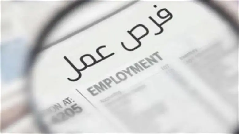 وظائف وزارة العمل في 3 شركات.. فرص لجميع المؤهلات: إليك الشروط وطريقة التقديم