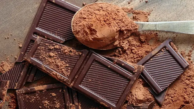 لعشاق الشوكولاتة الداكنة.. نتائج علمية قد تغير نظرتكم إليها