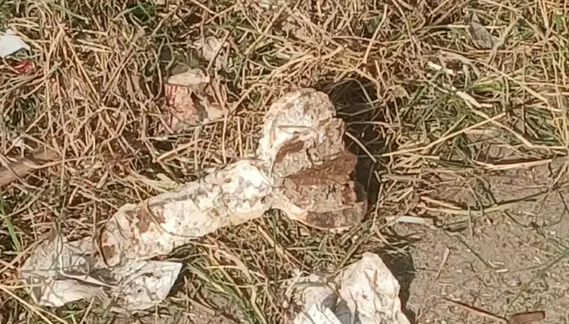 لبنان... العثور على قذيفة هاون قديمة داخل حرم سرايا طرابلس (صورة)