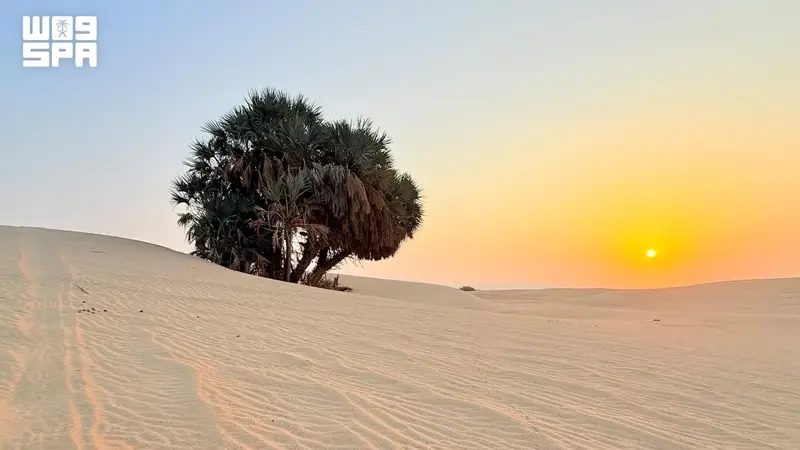 شروق الشمس يرسم مشاهد طبيعية في سهول مركز الخضراء شمال الليث