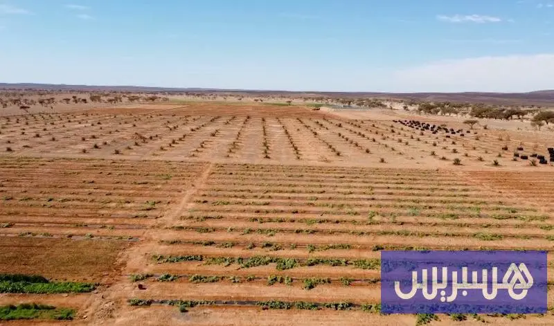 جهة الداخلة تبحث استقطاب استثمارات أمريكية في الفلاحة المستدامة