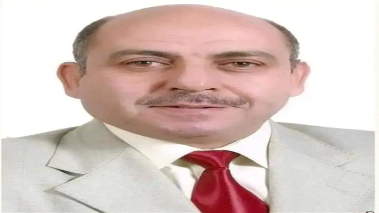 علي عبدالنبي خبير الطاقة الدولي: الشبكات الذكية وتخزين الكهرباء وزيادة إنتاج الغاز حلول لتحديات الطاقة بمصر