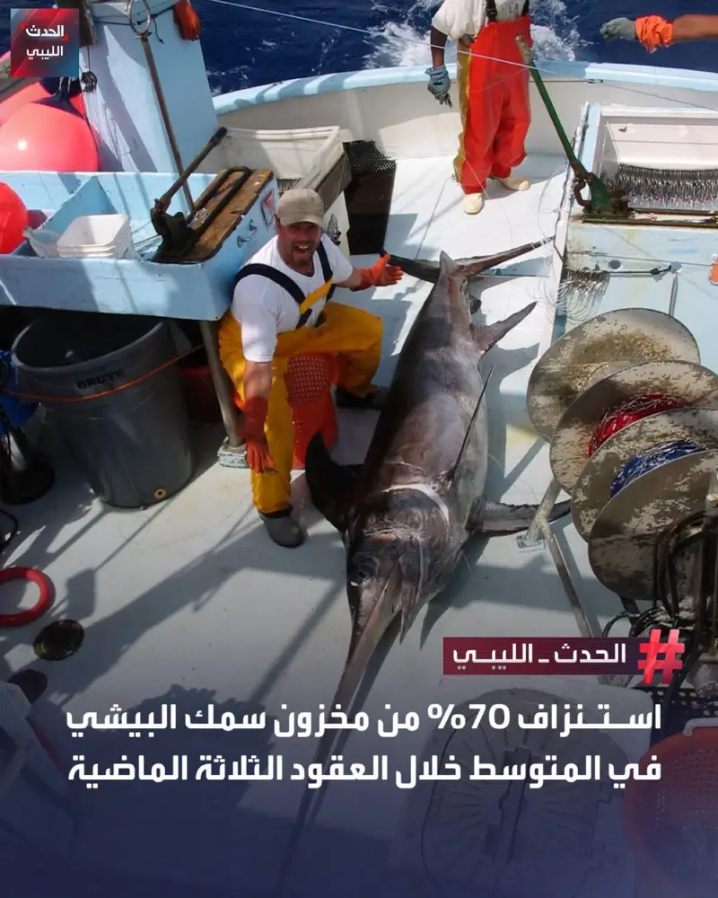 أوضحت وزارة الثروة البحرية بحكومة الدبيبة أن البيانات المتعلقة بسمك البيشي في ال - اخبار ليبيا