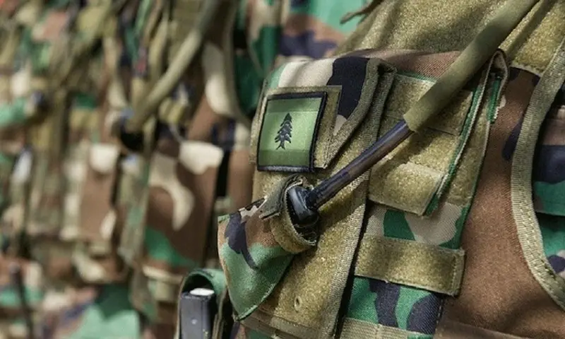 الجيش يوقف 153 سوريًا ويضبط أسلحة وذخائر ومخدرات