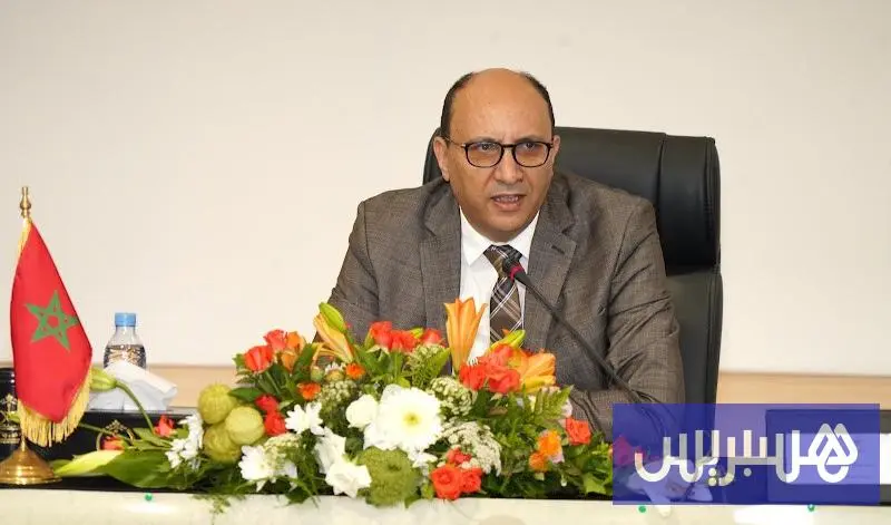 حسن طارق.. مسار أكاديمي ودبلوماسي يقود إلى "مطبخ التشريع الحكومي"