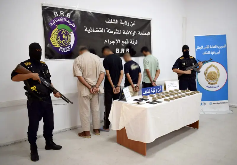 الشلف.. تفكيك شبكة إجرامية وحجز قرابة 3 كلغ من الكيف المعالج