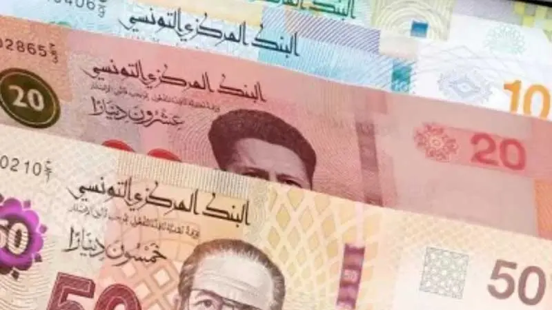 110 ملايين دينار لخطوط التمويل.. وهذه الفئات المعنية