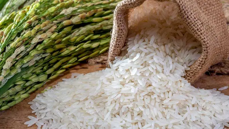وزارة التجارة تُحدد أسعار بيع الأرز المورّد للعموم
